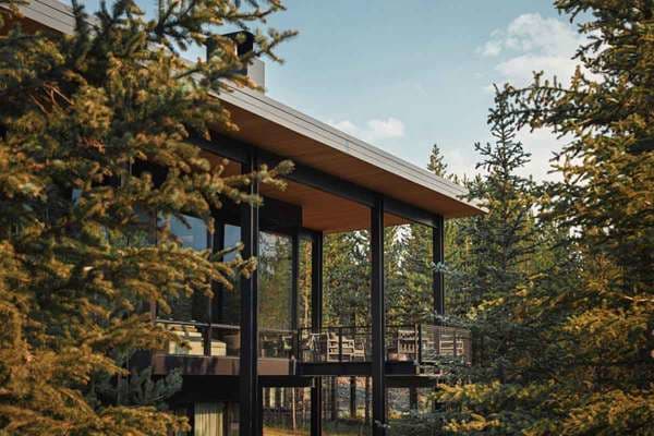 image of music fans at concert